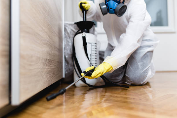 Best Pest Prevention Services  in Wilton, IA