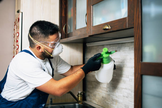 Best Pest Prevention Services  in Wilton, IA