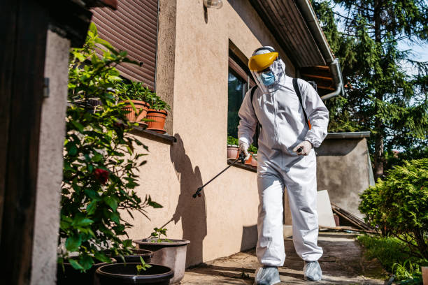 Trusted Wilton, IA Pest Control Experts