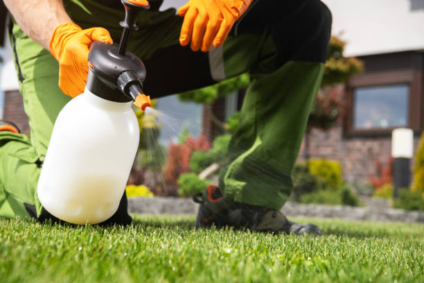 Pest Control Cost in Wilton, IA