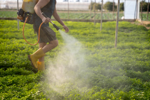 Best Pest Inspection Near Me  in Wilton, IA