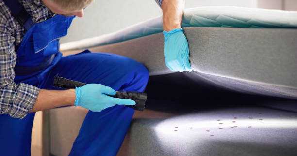 Best Commercial Pest Control Services  in Wilton, IA