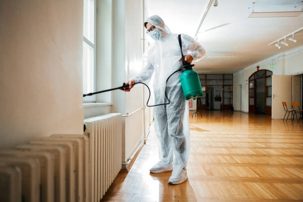 Best Pest Removal Services  in Wilton, IA