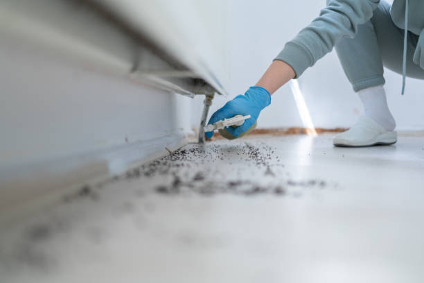 Best Best Pest Control Companies  in Wilton, IA