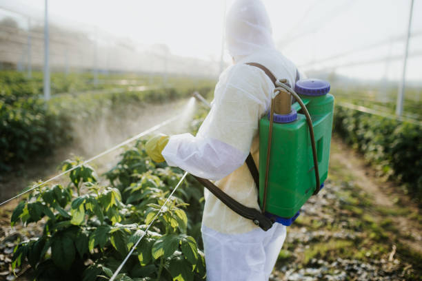 Best Emergency Pest Control  in Wilton, IA